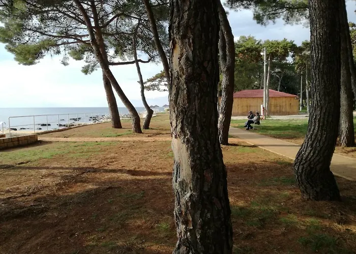 Διαμέρισμα Jenny